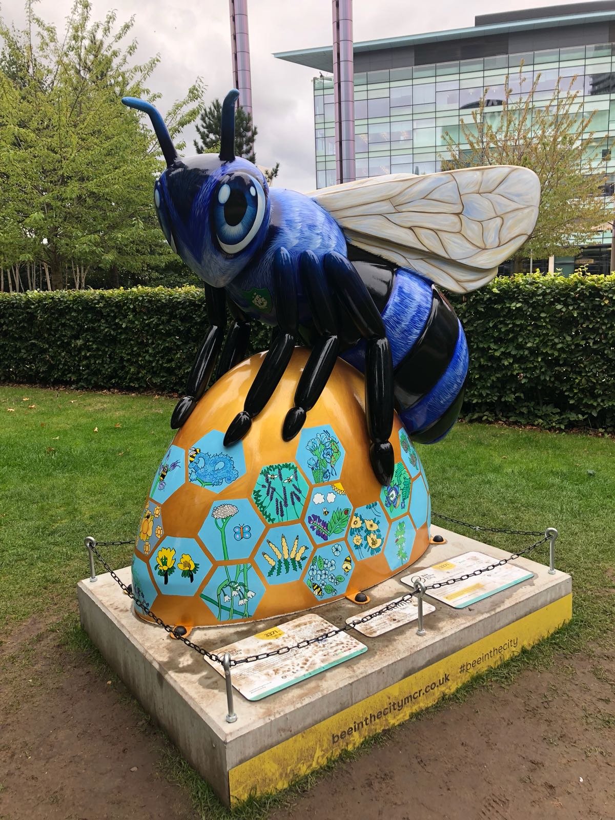 PHOTO 2018 08 27 19 52 34