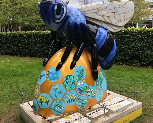 PHOTO 2018 08 27 19 52 34