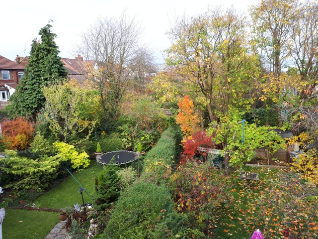 photography vol ad PPHOTO 2018 11 10 13 27 12